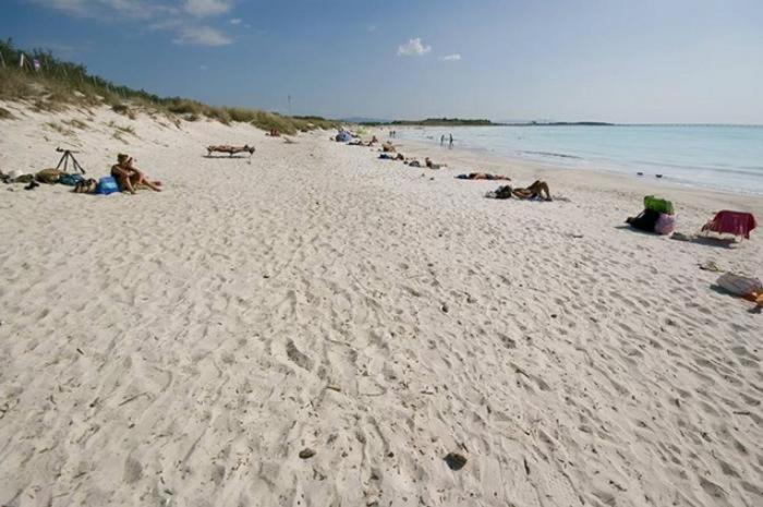 Sole...Mare...E...Spiaggie Bianche! Lejlighed Vada Eksteriør billede