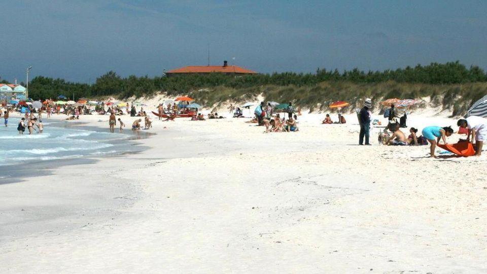 Sole...Mare...E...Spiaggie Bianche! Lejlighed Vada Eksteriør billede